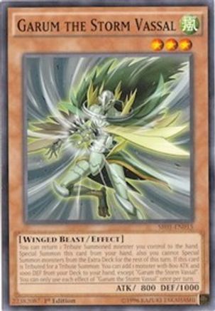 Garum the Storm Vassal (SR01-EN015) - Structure Deck: Emperor of Darkness 1st Edition Structure Deck: Emperor of Darkness Yugioh Single Squirtle Squad Card Shop.