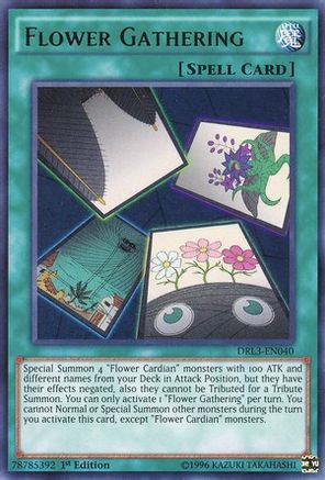 Flower Gathering (DRL3-EN040) - Dragons of Legend: Unleashed 1st Edition Dragons of Legend: Unleashed Yugioh Single Squirtle Squad Card Shop.