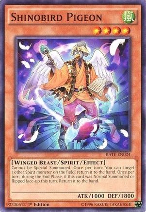 Shinobird Pigeon (RATE-EN024) - Raging Tempest 1st Edition Raging Tempest Yugioh Single Squirtle Squad Card Shop.