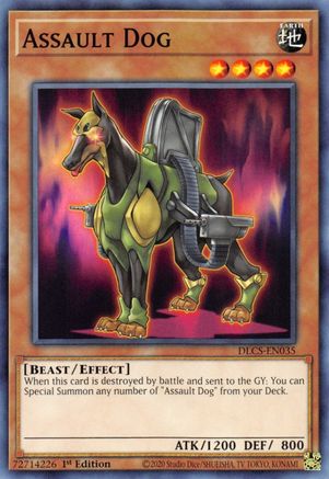 Assault Dog (DLCS-EN035) - Dragons of Legend: The Complete Series 1st Edition Dragons of Legend: The Complete Series Yugioh Single Squirtle Squad Card Shop.