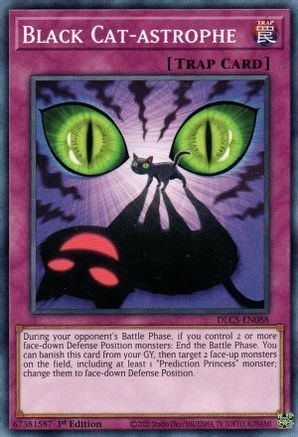 Black Cat-astrophe (DLCS-EN088) - Dragons of Legend: The Complete Series 1st Edition Dragons of Legend: The Complete Series Yugioh Single Squirtle Squad Card Shop.