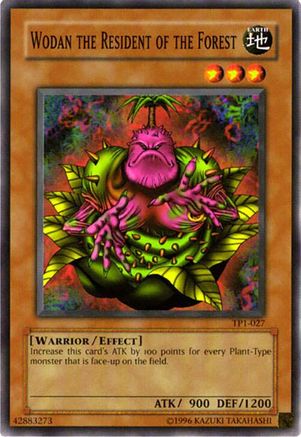 Wodan the Resident of the Forest (TP1-027) - Tournament Pack 1 Unlimited Tournament Pack 1 Yugioh Single Squirtle Squad Card Shop.