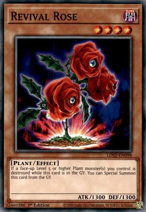 Revival Rose (LDS2-EN098) - Legendary Duelists: Season 2 1st Edition Legendary Duelists: Season 2 Yugioh Single Squirtle Squad Card Shop.