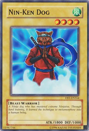 Nin-Ken Dog (DR1-EN164) - Dark Revelation Volume 1 Unlimited Dark Revelation Volume 1 Yugioh Single Squirtle Squad Card Shop.