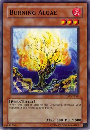 Burning Algae (DR2-EN063) - Dark Revelation Volume 2 Unlimited Dark Revelation Volume 2 Yugioh Single Squirtle Squad Card Shop.