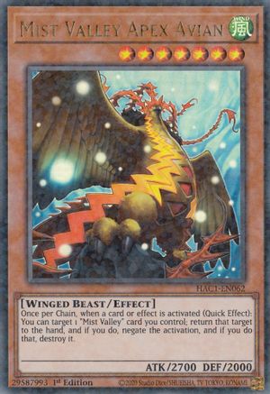 Mist Valley Apex Avian (Duel Terminal) (HAC1-EN062) - Hidden Arsenal: Chapter 1 1st Edition Hidden Arsenal: Chapter 1 Yugioh Single Squirtle Squad Card Shop.