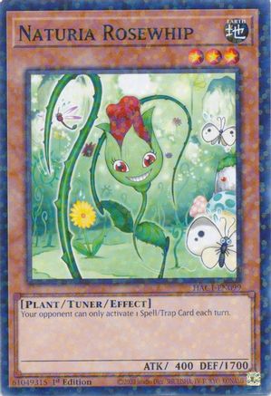 Naturia Rosewhip (Duel Terminal) (HAC1-EN099) - Hidden Arsenal: Chapter 1 1st Edition Hidden Arsenal: Chapter 1 Yugioh Single Squirtle Squad Card Shop.