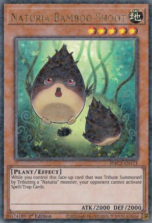 Naturia Bamboo Shoot (Duel Terminal) (HAC1-EN111) - Hidden Arsenal: Chapter 1 1st Edition Hidden Arsenal: Chapter 1 Yugioh Single Squirtle Squad Card Shop.