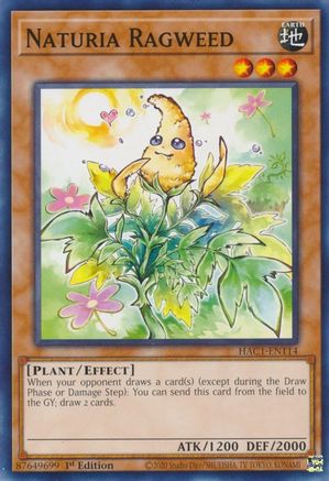Naturia Ragweed (HAC1-EN114) - Hidden Arsenal: Chapter 1 1st Edition Hidden Arsenal: Chapter 1 Yugioh Single Squirtle Squad Card Shop.