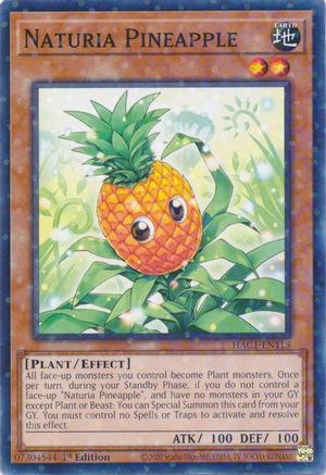 Naturia Pineapple (Duel Terminal) (HAC1-EN118) - Hidden Arsenal: Chapter 1 1st Edition Hidden Arsenal: Chapter 1 Yugioh Single Squirtle Squad Card Shop.