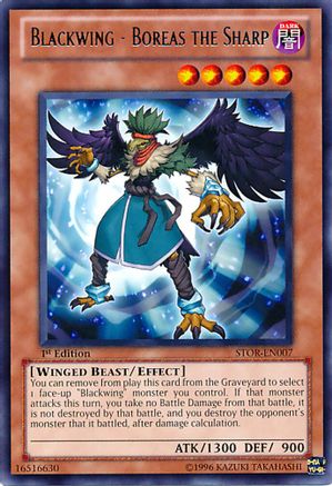 Blackwing - Boreas the Sharp (STOR-EN007) - Storm of Ragnarok 1st Edition Storm of Ragnarok Yugioh Single Squirtle Squad Card Shop.