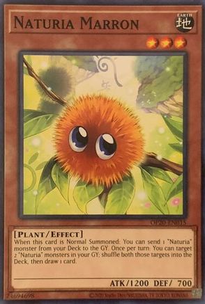 Naturia Marron (OP20-EN015) - OTS Tournament Pack 20 Unlimited OTS Tournament Pack 20 Yugioh Single Squirtle Squad Card Shop.