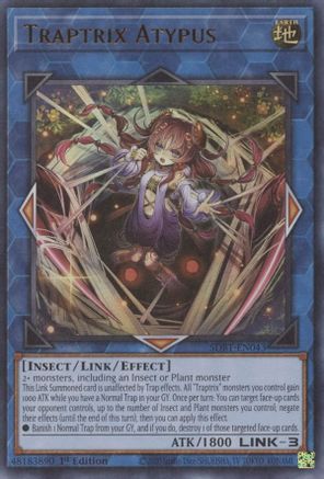 Traptrix Atypus (SDBT-EN043) - Structure Deck: Beware of Traptrix 1st Edition Structure Deck: Beware of Traptrix Yugioh Single Squirtle Squad Card Shop.