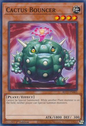 Cactus Bouncer (BLC1-EN065) - Battles of Legend: Chapter 1 1st Edition Battles of Legend: Chapter 1 Yugioh Single Squirtle Squad Card Shop.