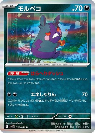 Morpeko - 051/066 (051/066) - SV4K Ancient Roar Holofoil SV4K: Ancient Roar Pokemon Japanese Single Squirtle Squad Card Shop.