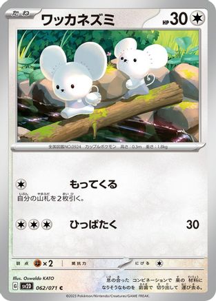 Tandemaus - 062/071 (062/071) - SV2D Clay Burst SV2D: Clay Burst Pokemon Japanese Single Squirtle Squad Card Shop.