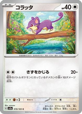 Rattata (019/165) - SV2a Pokemon Card 151 SV2a: Pokemon Card 151 Pokemon Japanese Single Squirtle Squad Card Shop.