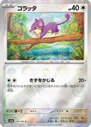 Rattata (Poke Ball Pattern) (019/165) - SV2a Pokemon Card 151 Holofoil SV2a: Pokemon Card 151 Pokemon Japanese Single Squirtle Squad Card Shop.