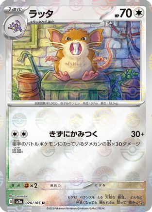 Raticate (Poke Ball Pattern) (020/165) - SV2a Pokemon Card 151 Holofoil SV2a: Pokemon Card 151 Pokemon Japanese Single Squirtle Squad Card Shop.