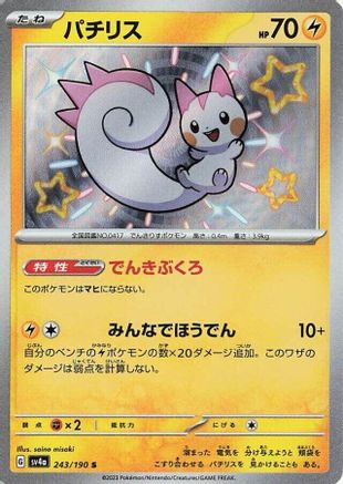 Pachirisu - 243/190 (243/190) - SV4a Shiny Treasure ex Holofoil SV4a: Shiny Treasure ex Pokemon Japanese Single Squirtle Squad Card Shop.