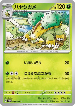 Grotle - 004/071 (004/071) - SV5K Wild Force SV5K: Wild Force Pokemon Japanese Single Squirtle Squad Card Shop.