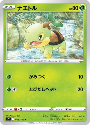 Turtwig (006/100) - S9 Star Birth S9: Star Birth Pokemon Japanese Single Squirtle Squad Card Shop.