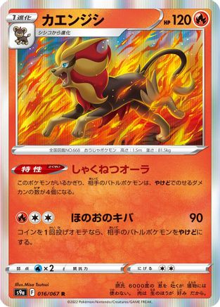 Pyroar (016/067) - S9a Battle Region Holofoil S9a: Battle Region Pokemon Japanese Single Squirtle Squad Card Shop.