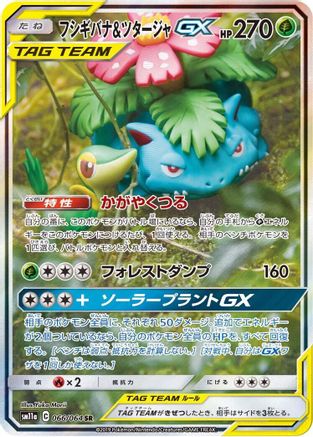 Venusaur & Snivy GX - 066/064 (066/064) - SM11a Remix Bout Holofoil SM11a: Remix Bout Pokemon Japanese Single Squirtle Squad Card Shop.