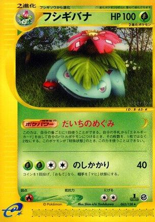 Venusaur - 065/128 (065/128) - Base Expansion Pack 1st Edition Base Expansion Pack Pokemon Japanese Single Squirtle Squad Card Shop.