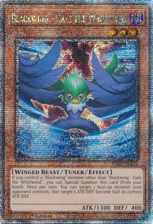 Blackwing - Gale the Whirlwind (Quarter Century Secret Rare) (RA03-EN215) - Quarter Century Bonanza 1st Edition Quarter Century Bonanza Yugioh Single Squirtle Squad Card Shop.