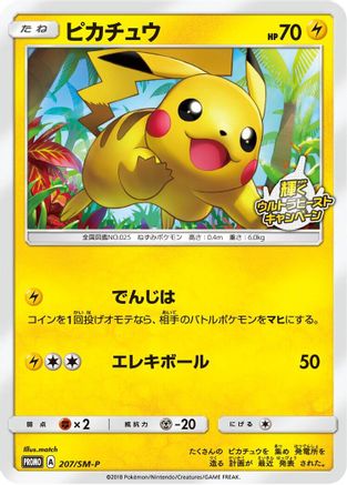 Pikachu - 207/SM-P (207/SM-P) - SMP Sun Moon Promos SM-P: Sun & Moon Promos Pokemon Japanese Single Squirtle Squad Card Shop.