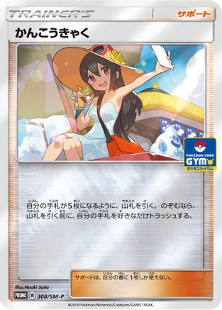 Sightseer - 308/SM-P (308/SM-P) - SMP Sun Moon Promos Holofoil SM-P: Sun & Moon Promos Pokemon Japanese Single Squirtle Squad Card Shop.