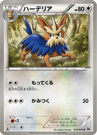 Herdier (043/053) - BW1 White Collection Unlimited BW1: White Collection Pokemon Japanese Single Squirtle Squad Card Shop.