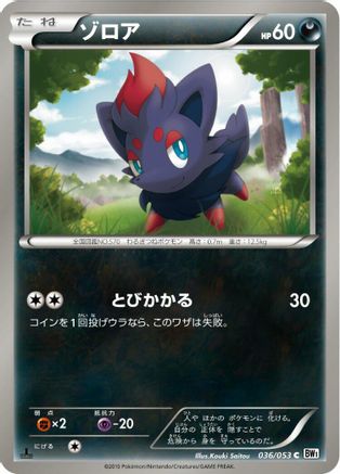 Zorua (036/053) - BW1 White Collection 1st Edition BW1: White Collection Pokemon Japanese Single Squirtle Squad Card Shop.