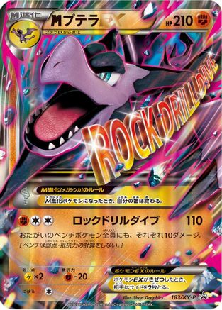 Aerodactyl - 183/XY-P (183/XY-P) - XYP XY Promos Holofoil XY-P: XY Promos Pokemon Japanese Single Squirtle Squad Card Shop.