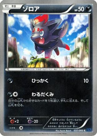 Zorua (037/060) - XYBx Collection X 1st Edition XY-Bx: Collection X Pokemon Japanese Single Squirtle Squad Card Shop.
