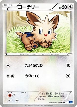 Lillipup (049/060) - XYBx Collection X Unlimited XY-Bx: Collection X Pokemon Japanese Single Squirtle Squad Card Shop.