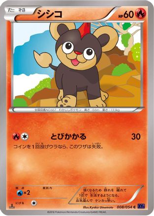 Litleo (008/054) - XY11Bb FeverBurst Fighter 1st Edition XY11-Bb: Fever-Burst Fighter Pokemon Japanese Single Squirtle Squad Card Shop.