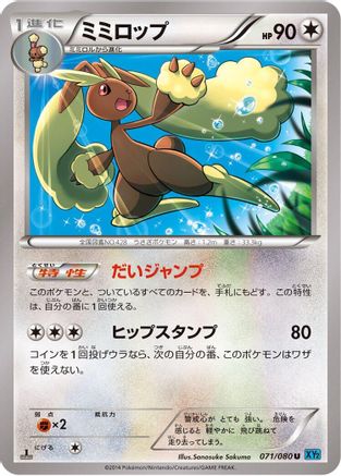 Lopunny (071/080) - XY2 Wild Blaze Unlimited XY2: Wild Blaze Pokemon Japanese Single Squirtle Squad Card Shop.