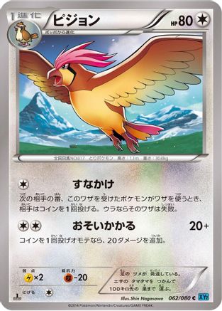 Pidgeotto (062/080) - XY2 Wild Blaze Unlimited XY2: Wild Blaze Pokemon Japanese Single Squirtle Squad Card Shop.