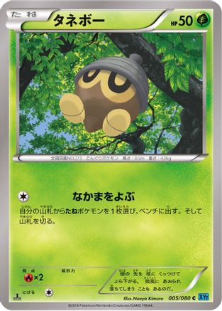 Seedot (005/080) - XY2 Wild Blaze Unlimited XY2: Wild Blaze Pokemon Japanese Single Squirtle Squad Card Shop.