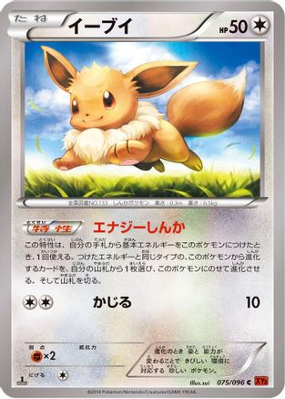 Eevee (075/096) - XY3 Rising Fist Unlimited XY3: Rising Fist Pokemon Japanese Single Squirtle Squad Card Shop.