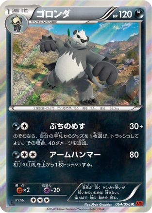 Pangoro (064/096) - XY3 Rising Fist Unlimited Holofoil XY3: Rising Fist Pokemon Japanese Single Squirtle Squad Card Shop.