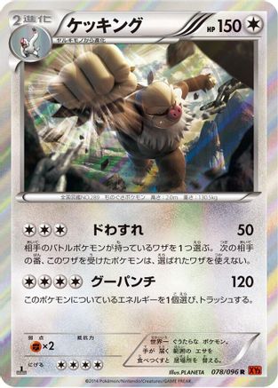 Slaking (078/096) - XY3 Rising Fist Unlimited Holofoil XY3: Rising Fist Pokemon Japanese Single Squirtle Squad Card Shop.