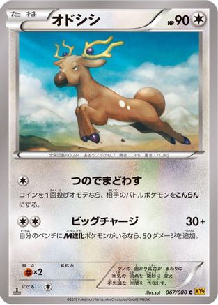 Stantler (067/080) - XY9 Rage of the Broken Heavens 1st Edition XY9: Rage of the Broken Heavens Pokemon Japanese Single Squirtle Squad Card Shop.