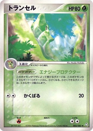 Metapod (002/082) - Flight of Legends Unlimited Flight of Legends Pokemon Japanese Single Squirtle Squad Card Shop.
