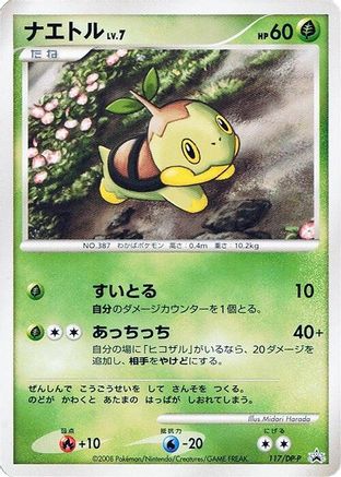 Turtwig - 117/DP-P (117/DP-P) - DPP Promotional cards DP-P Promotional cards Pokemon Japanese Single Squirtle Squad Card Shop.