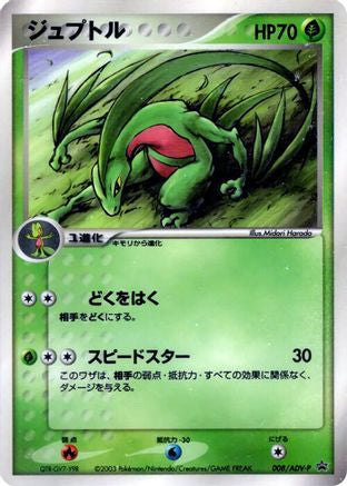 Grovyle - 008/ADV-P (008/ADV-P) - ADVP Promotional cards ADV-P Promotional cards Pokemon Japanese Single Squirtle Squad Card Shop.