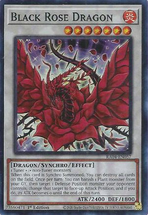 Black Rose Dragon (RA04-EN057) - Quarter Century Stampede 1st Edition Quarter Century Stampede Yugioh Single Squirtle Squad Card Shop.