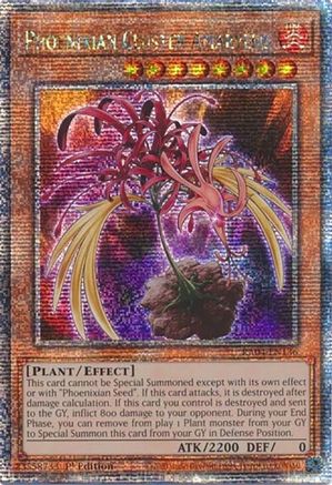 Phoenixian Cluster Amaryllis (Quarter Century Secret Rare) (RA04-EN136) - Quarter Century Stampede 1st Edition Quarter Century Stampede Yugioh Single Squirtle Squad Card Shop.